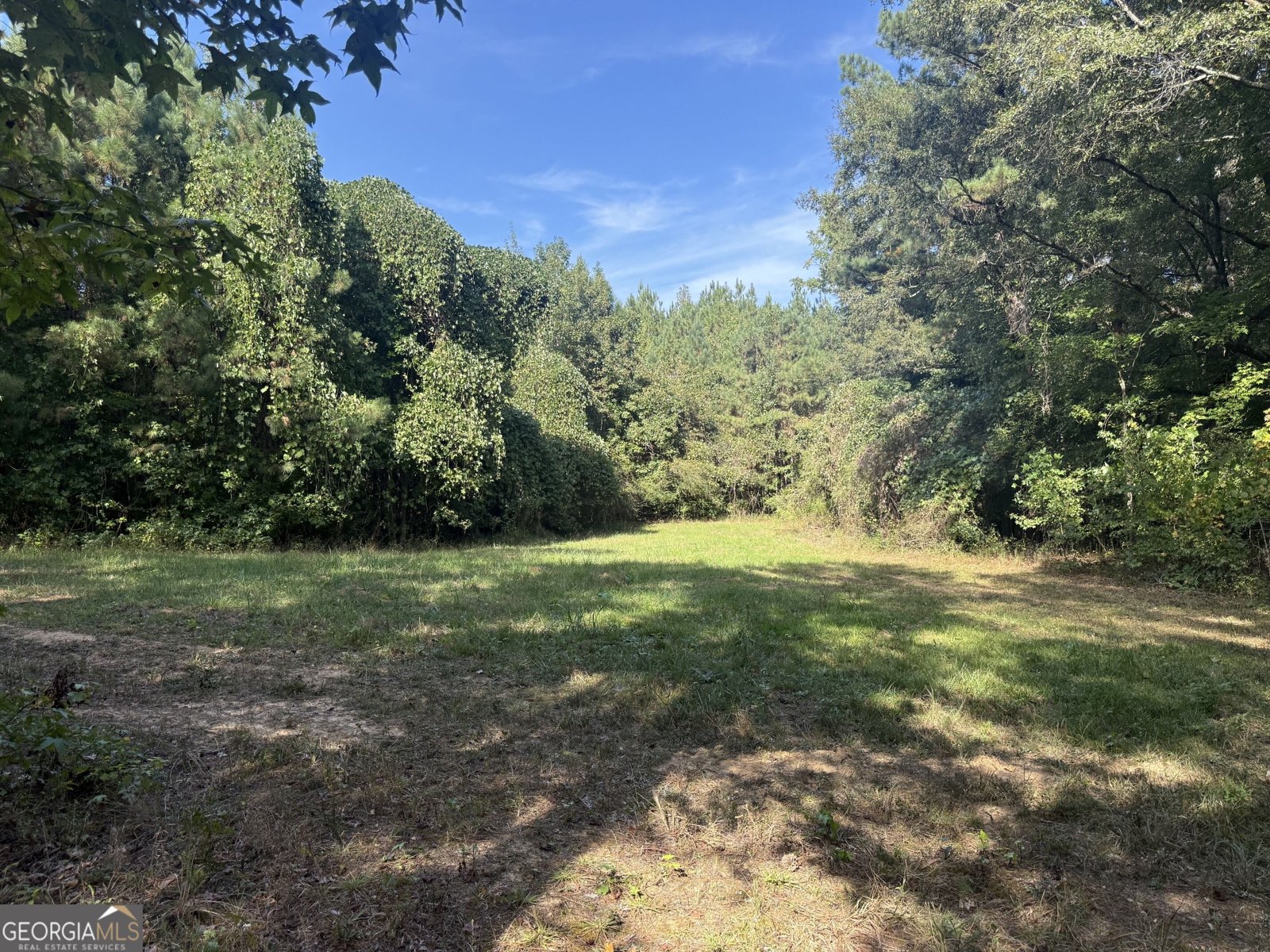 1284 Highway 18 Barnesville - Photo 48