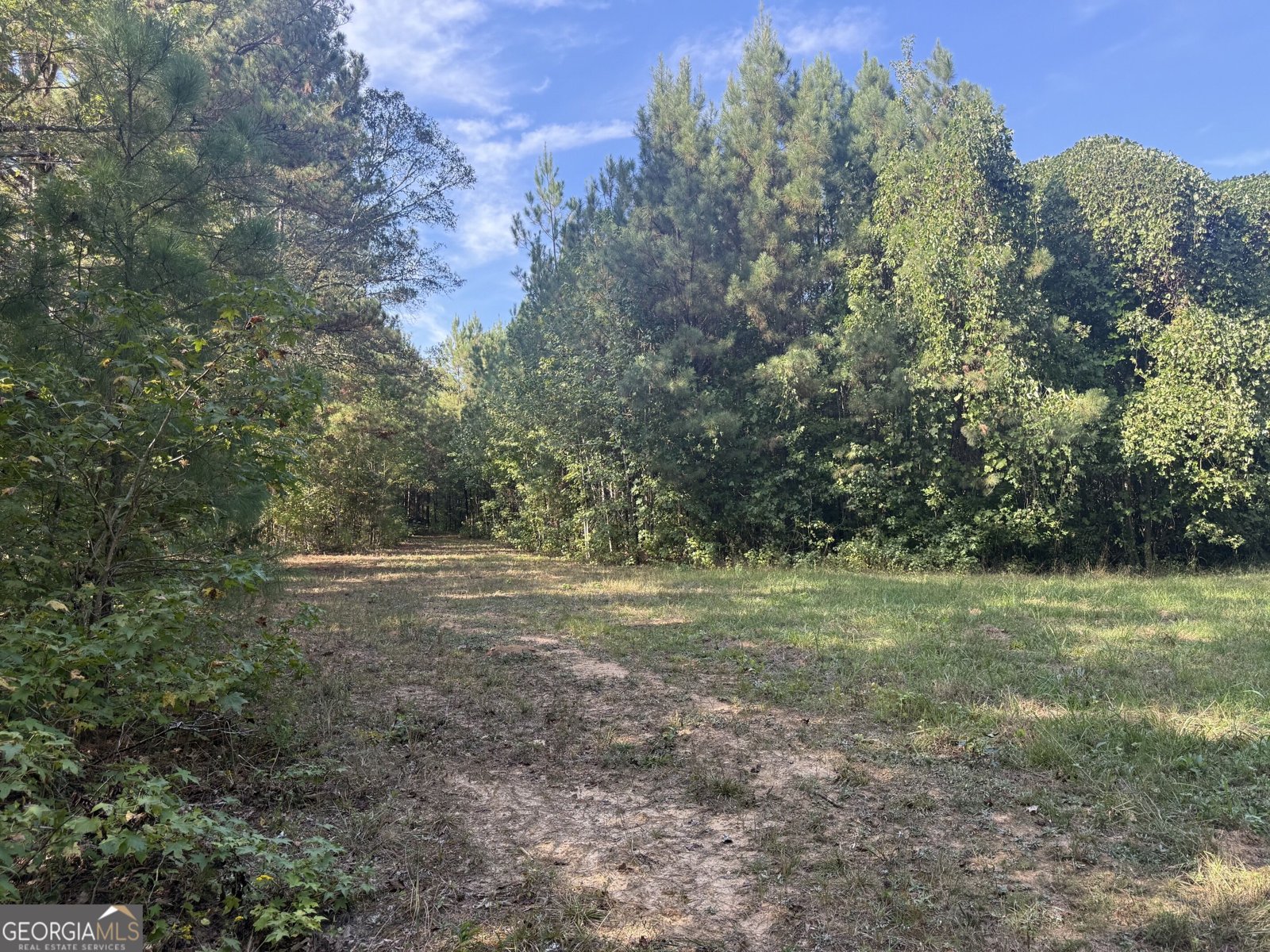 1284 Highway 18 Barnesville - Photo 49