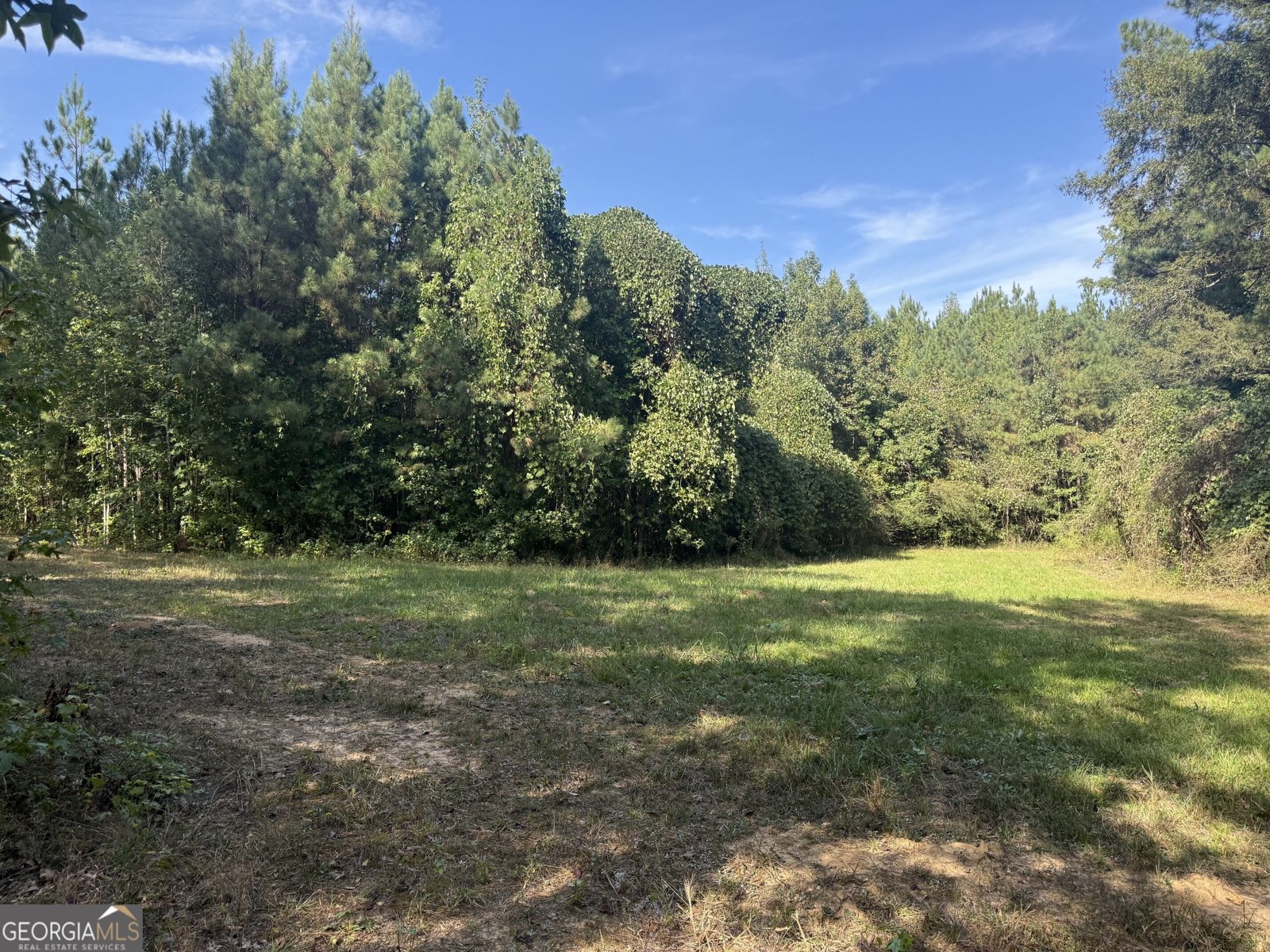 1284 Highway 18 Barnesville - Photo 50