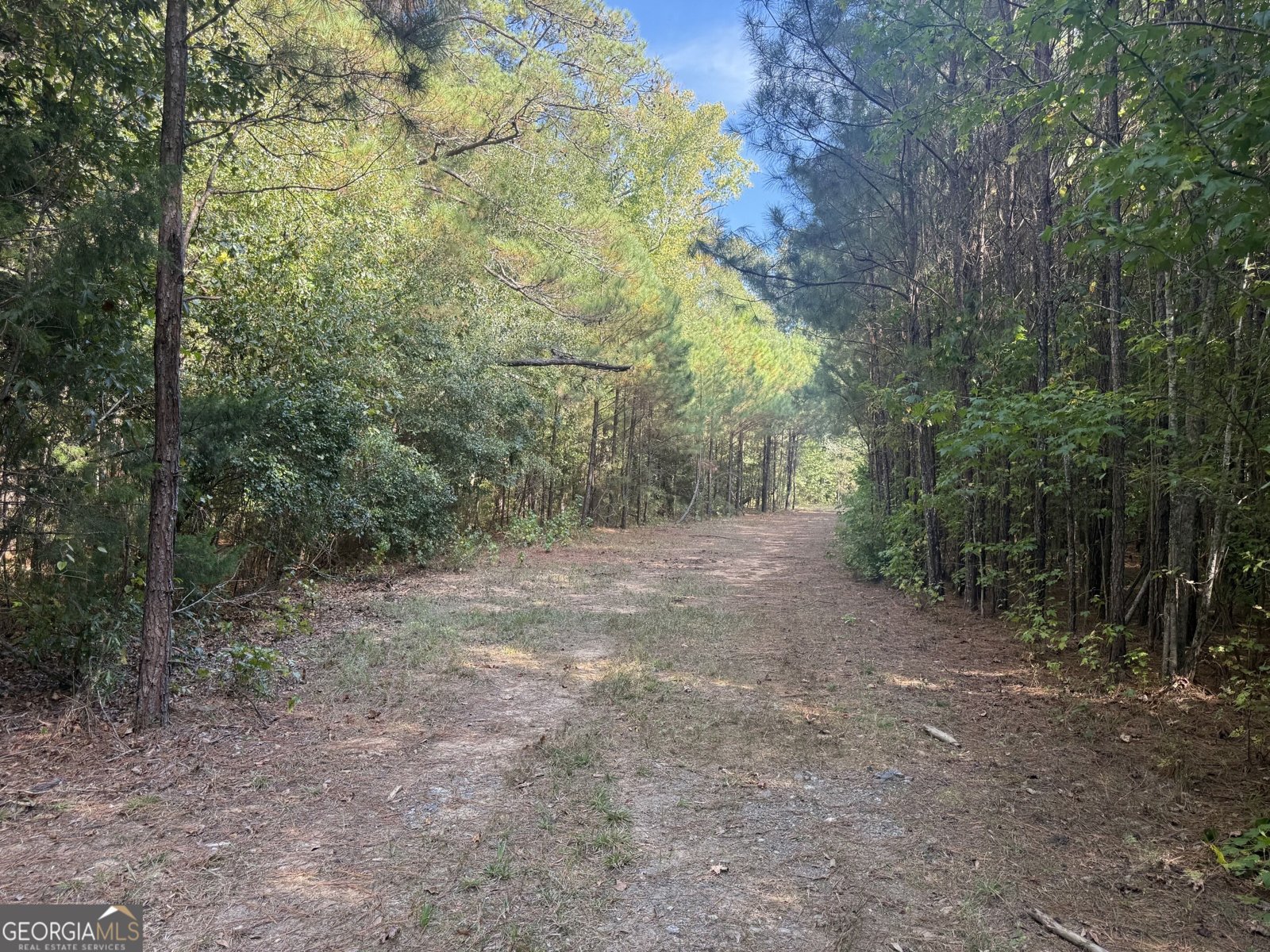 1284 Highway 18 Barnesville - Photo 53