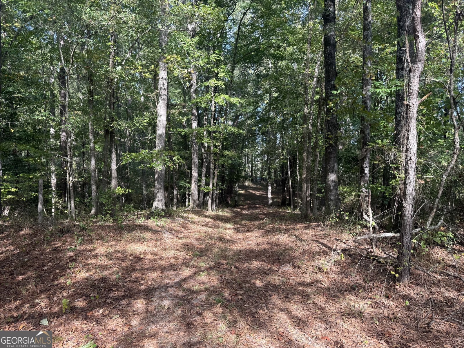 1284 Highway 18 Barnesville - Photo 55