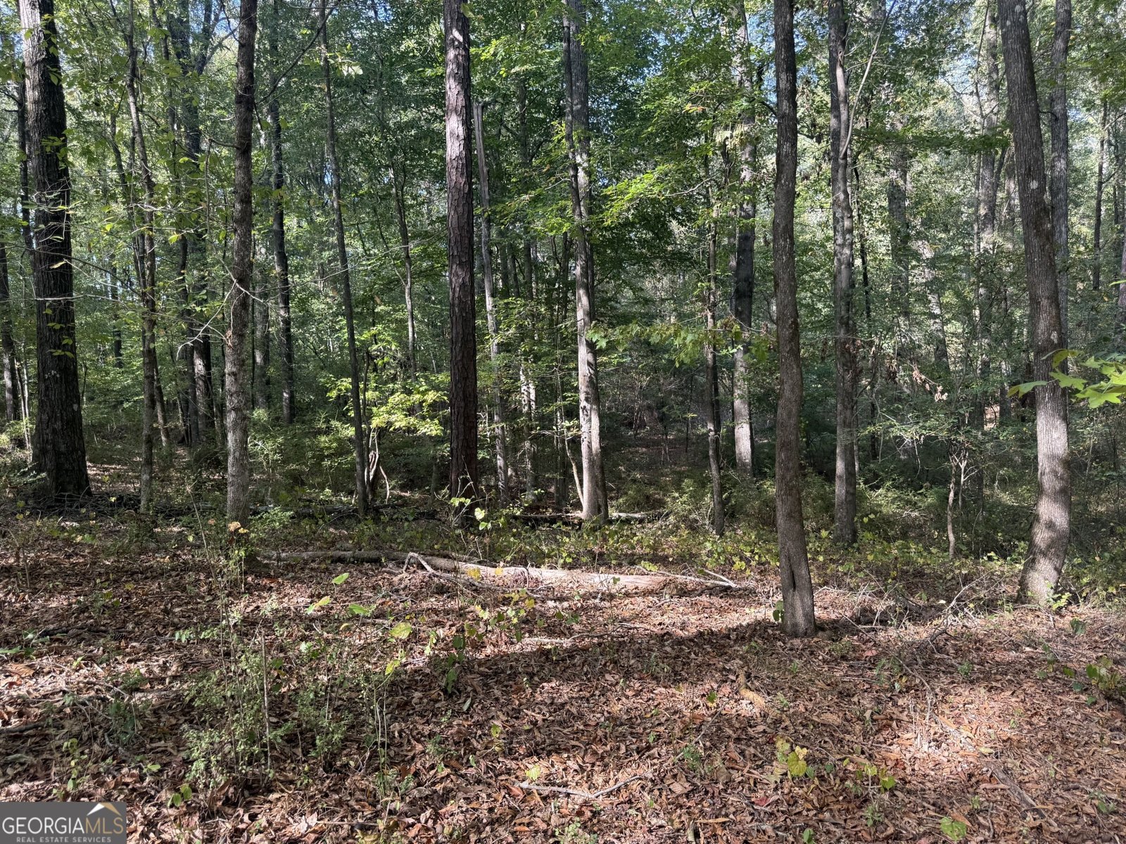 1284 Highway 18 Barnesville - Photo 57