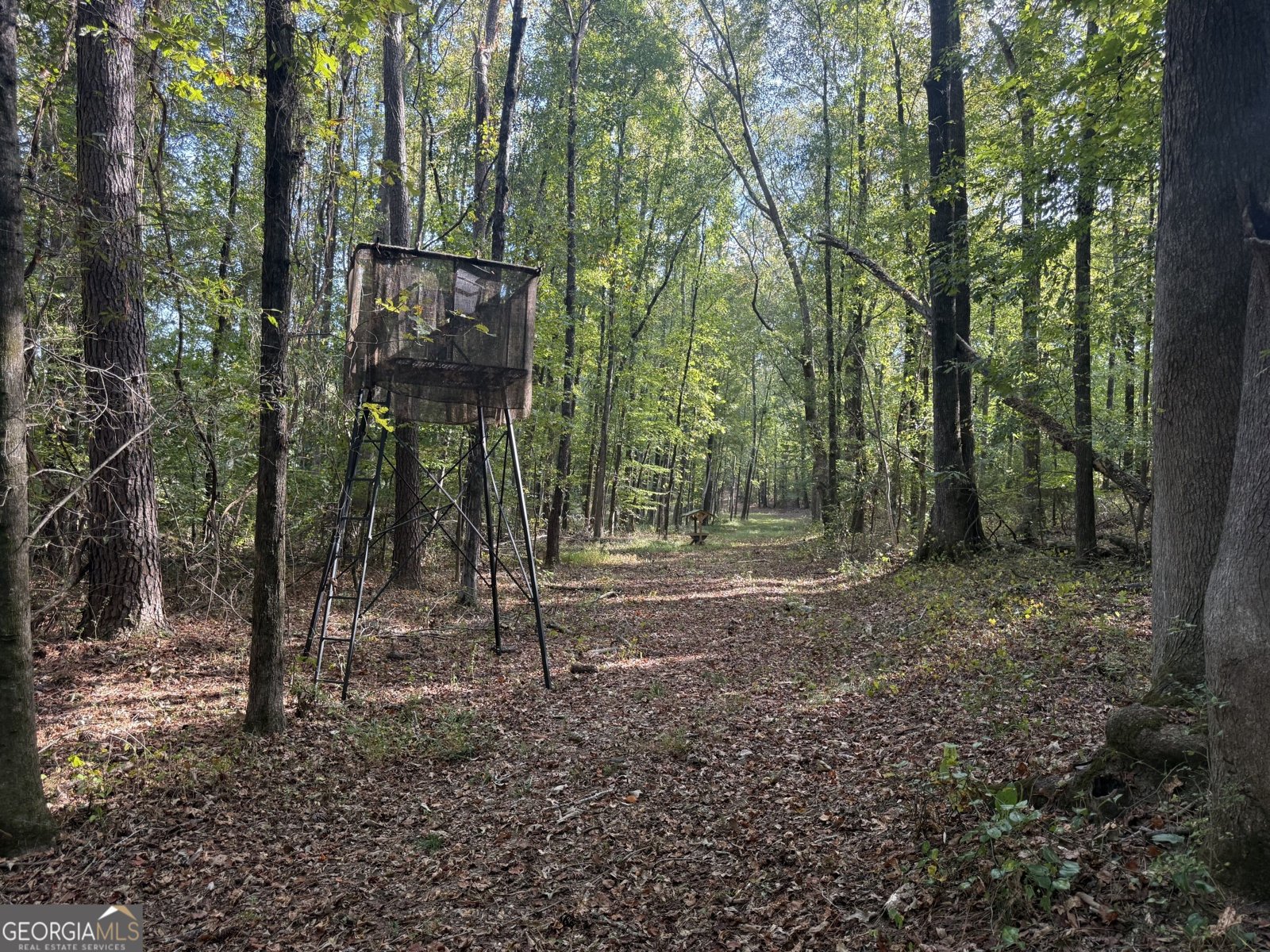 1284 Highway 18 Barnesville - Photo 58