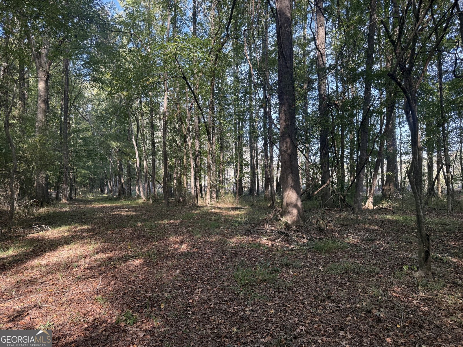 1284 Highway 18 Barnesville - Photo 59
