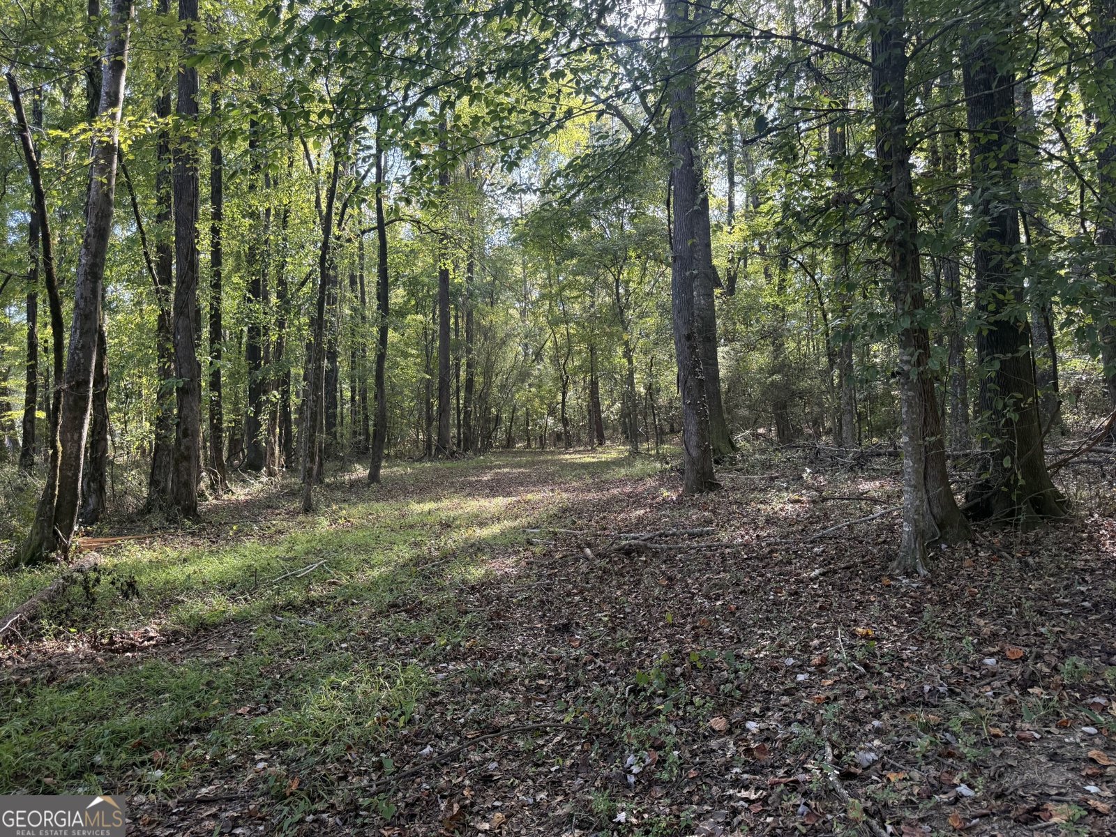 1284 Highway 18 Barnesville - Photo 61