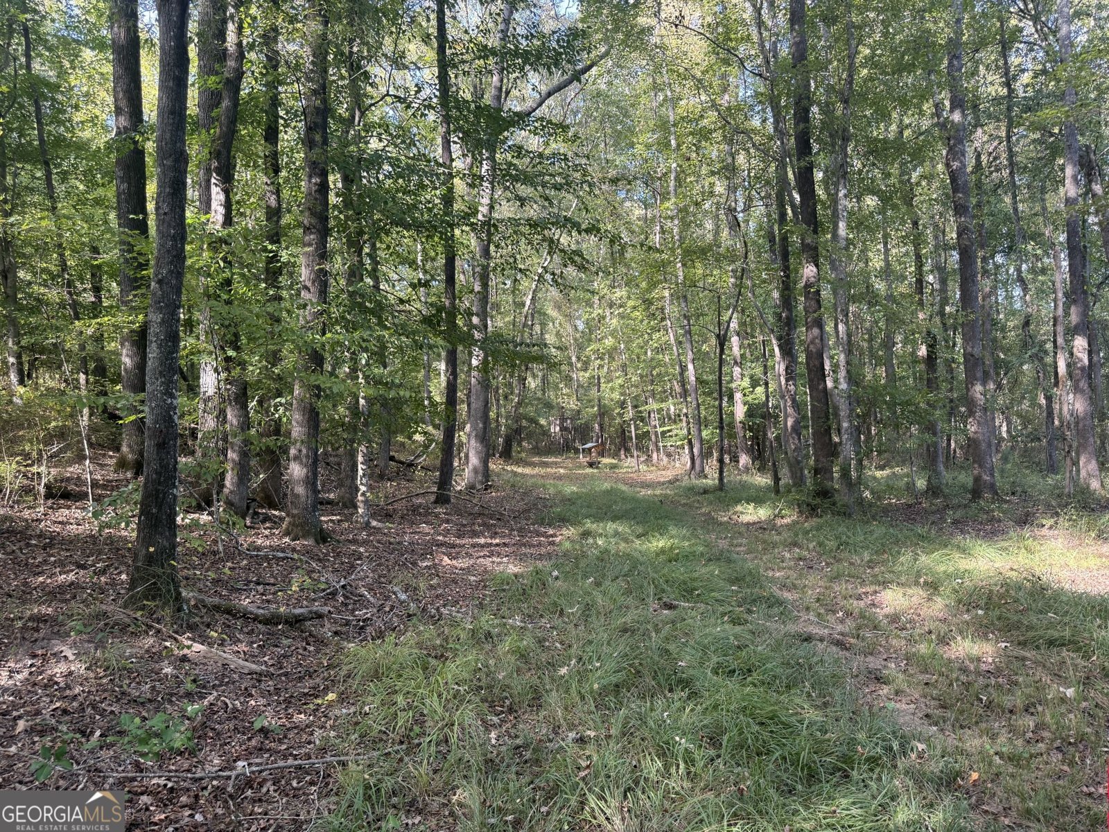 1284 Highway 18 Barnesville - Photo 62