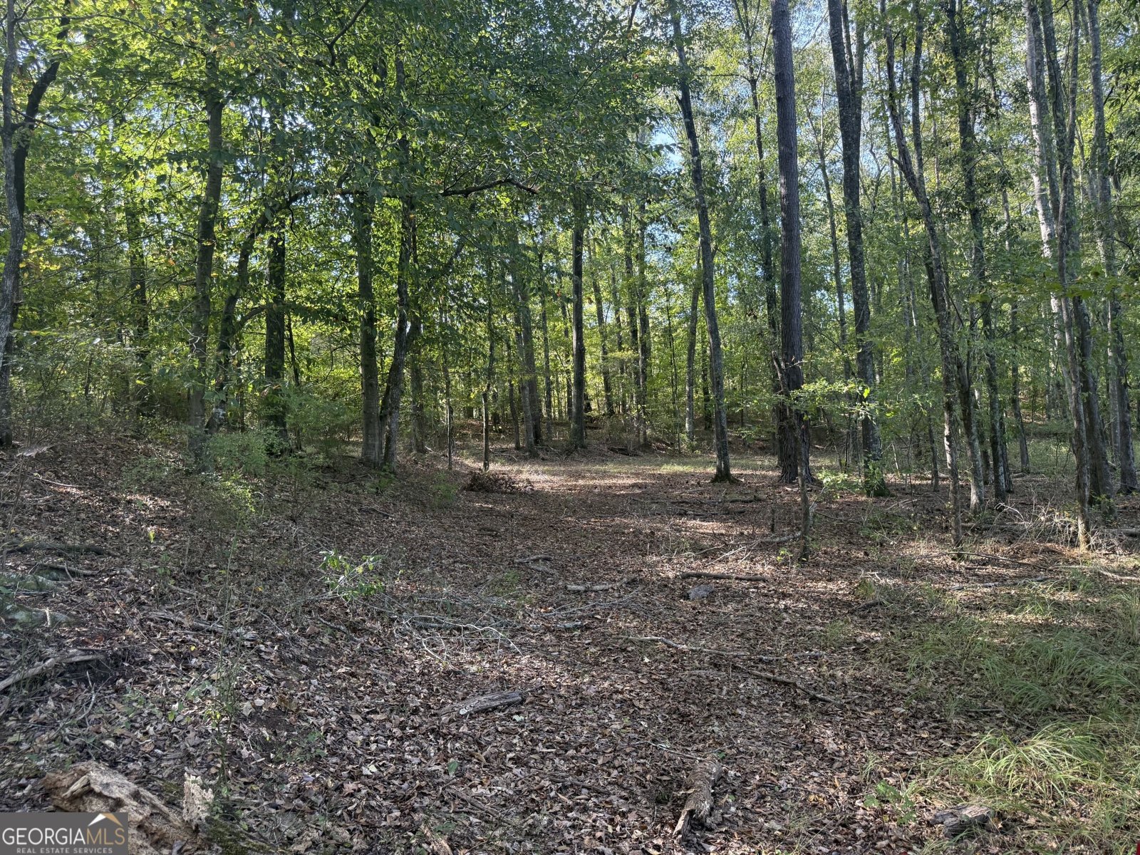 1284 Highway 18 Barnesville - Photo 65