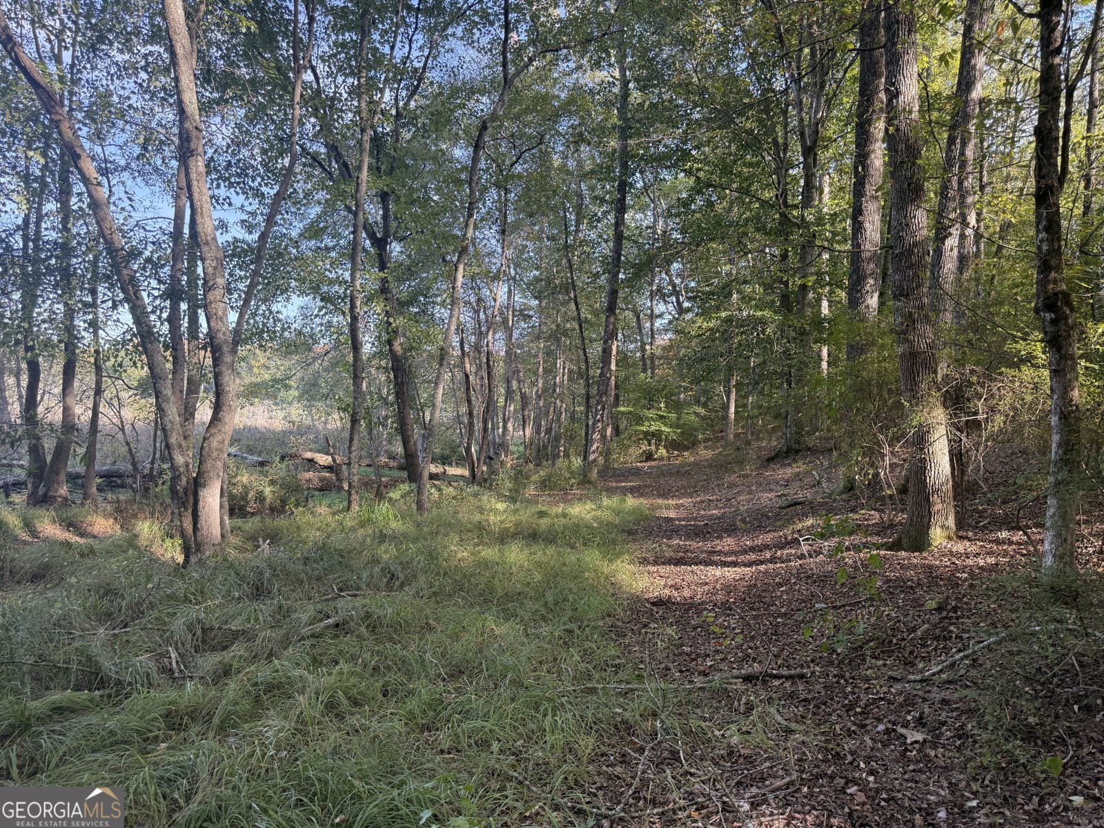 1284 Highway 18 Barnesville - Photo 68