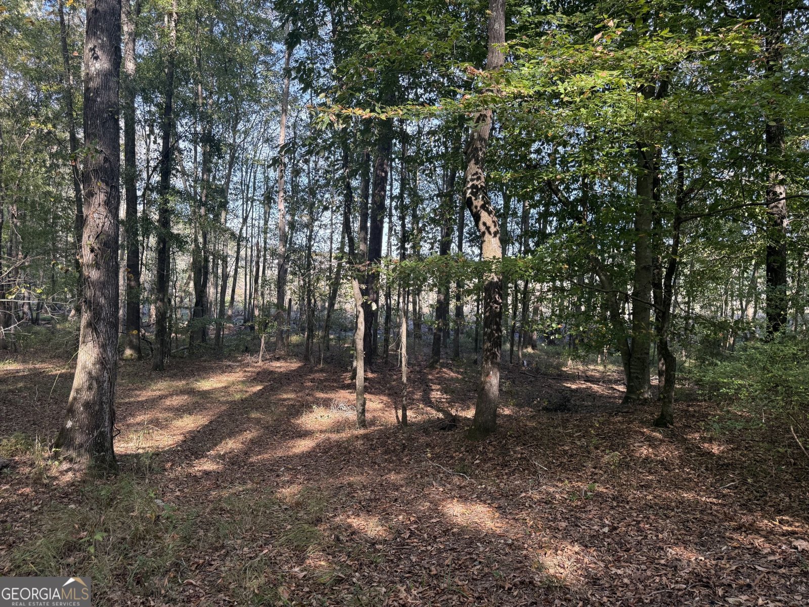 1284 Highway 18 Barnesville - Photo 69