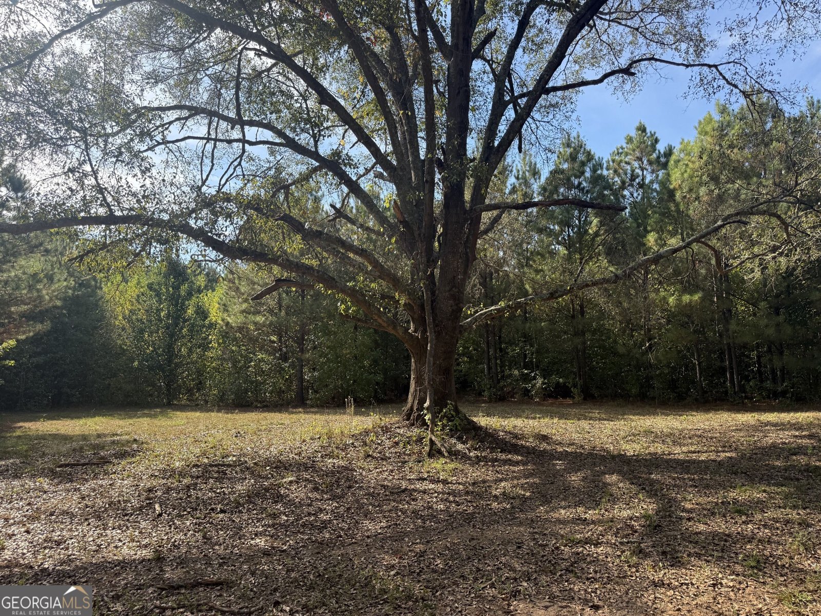 1284 Highway 18 Barnesville - Photo 71