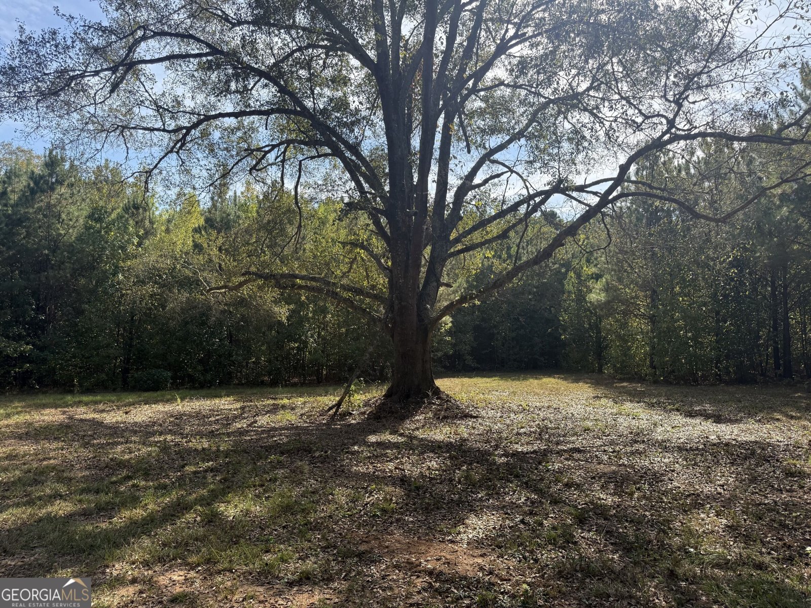 1284 Highway 18 Barnesville - Photo 72