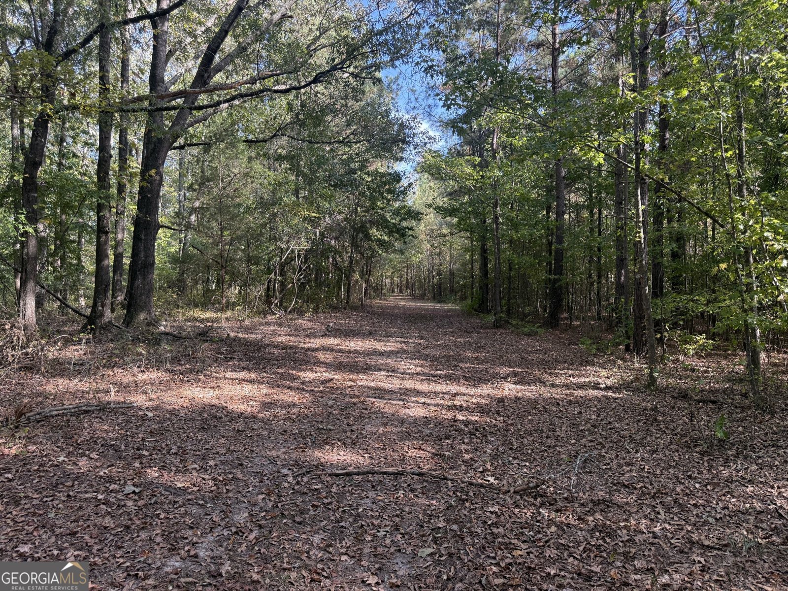 1284 Highway 18 Barnesville - Photo 74
