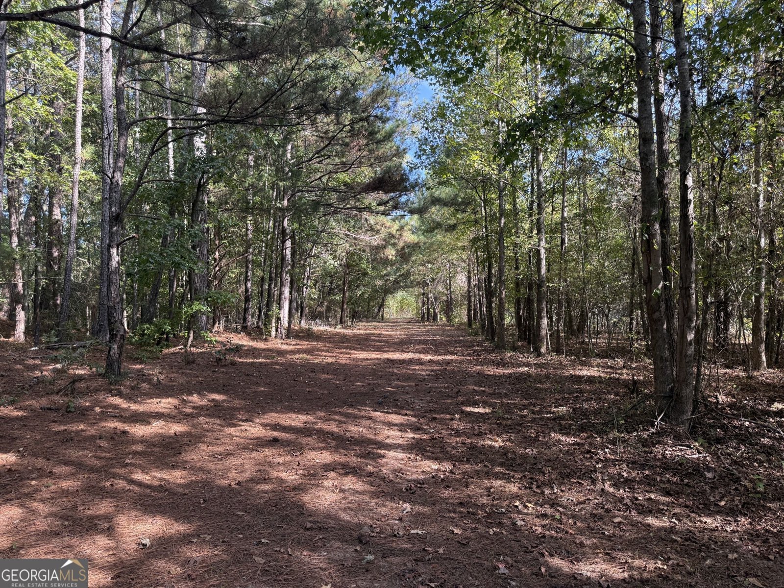 1284 Highway 18 Barnesville - Photo 75