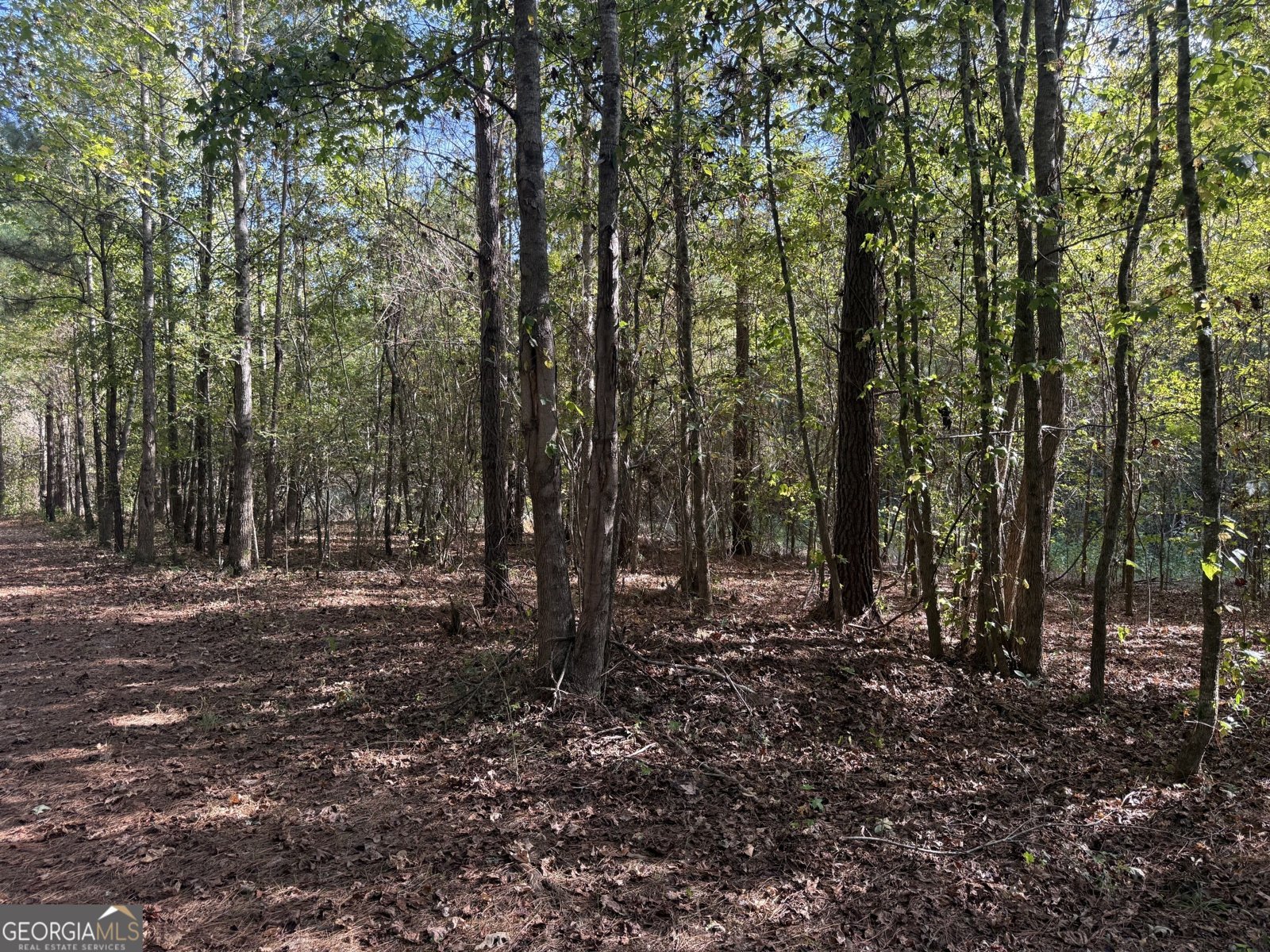 1284 Highway 18 Barnesville - Photo 77