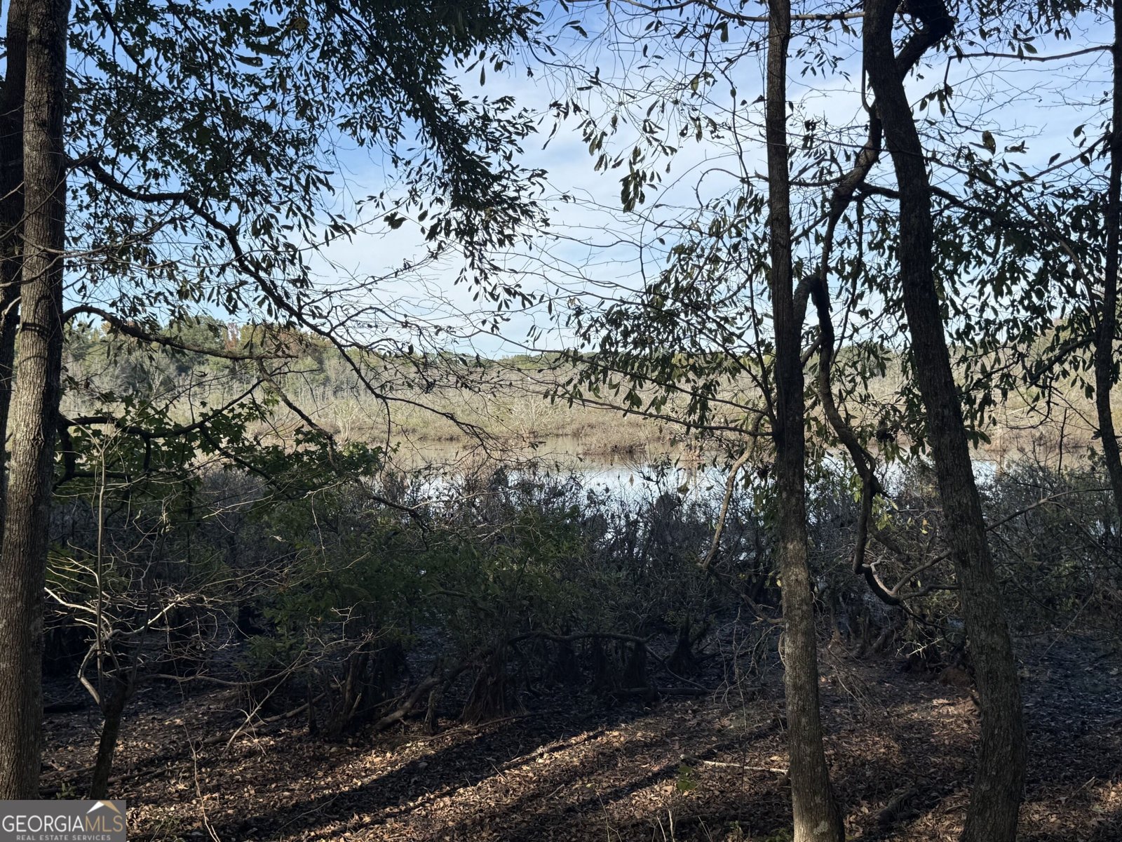 1284 Highway 18 Barnesville - Photo 84