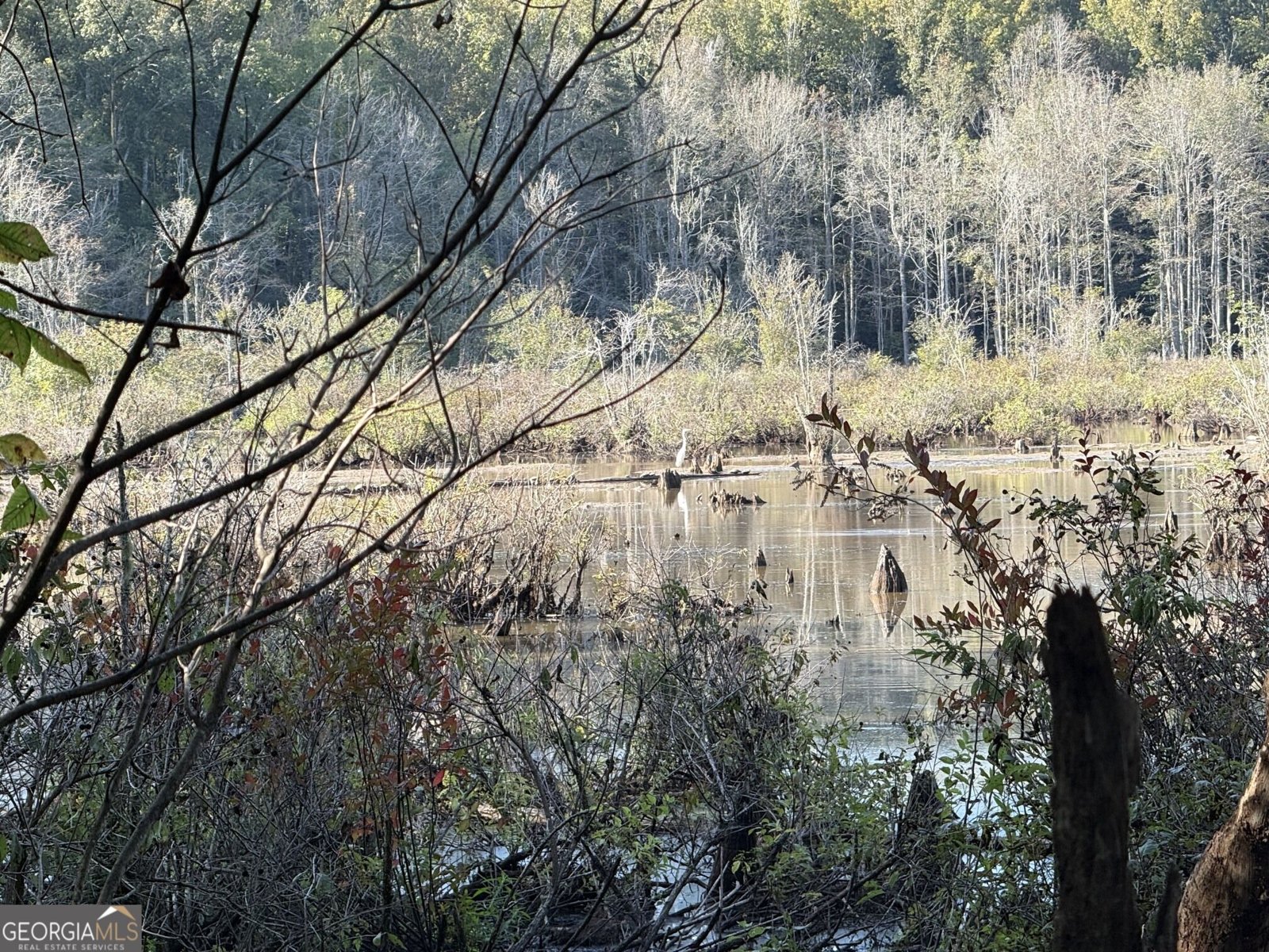 1284 Highway 18 Barnesville - Photo 94