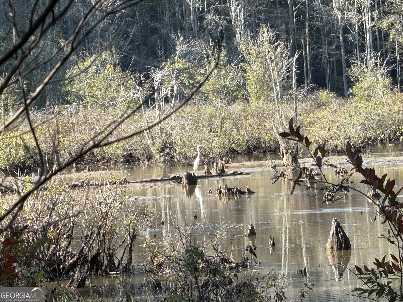 1284 Highway 18 Barnesville - Photo 95