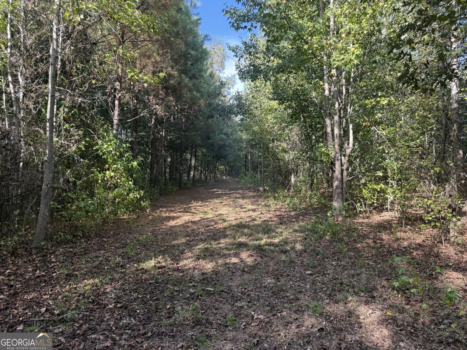 1284 Highway 18 Barnesville - Photo 96