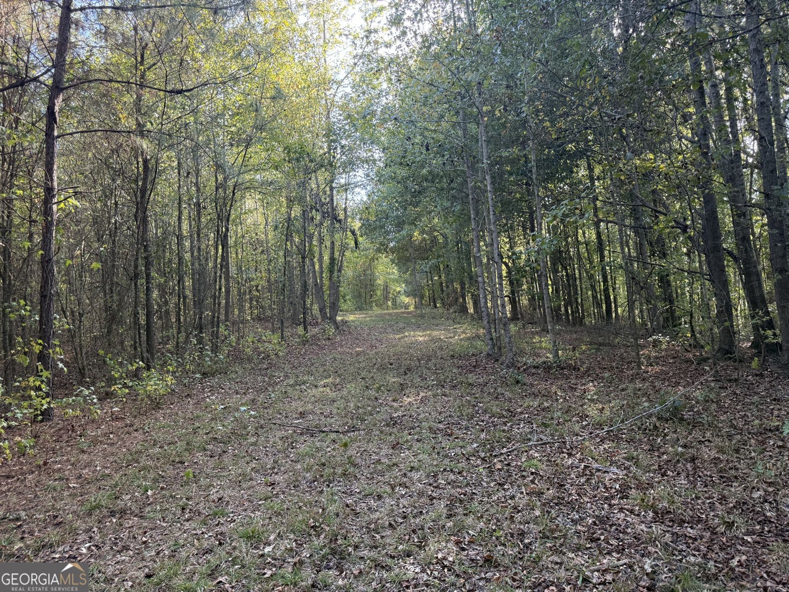 1284 Highway 18 Barnesville - Photo 97