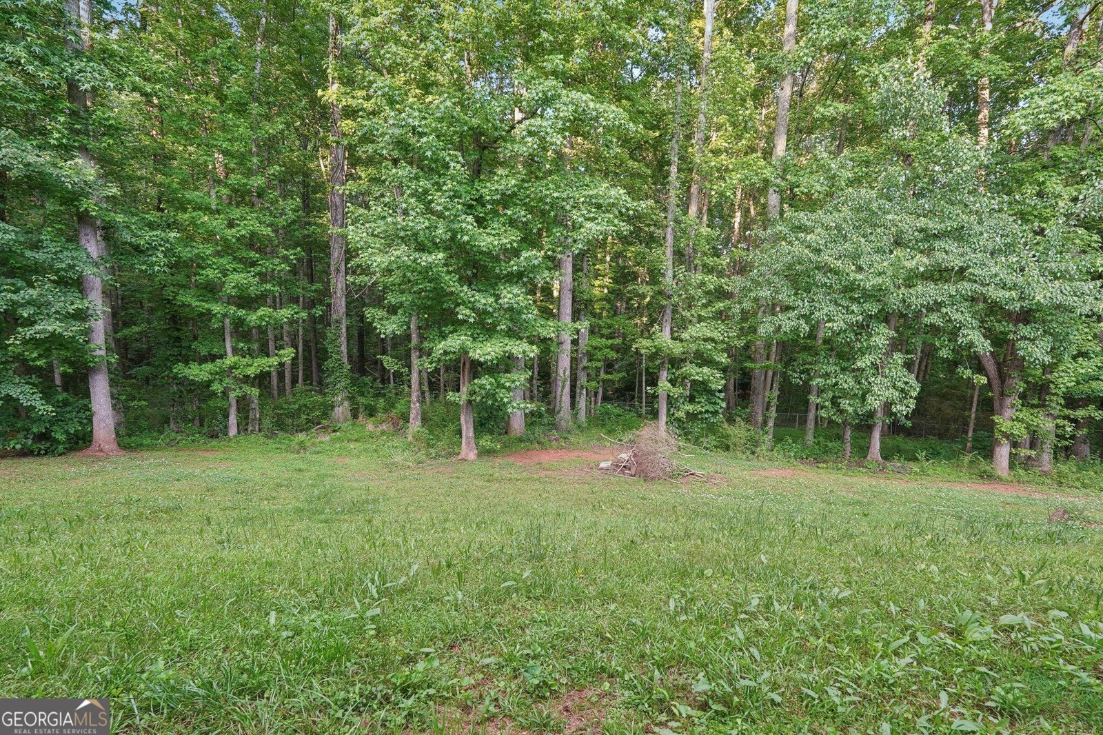 306 Deerfield Drive Hiram - Photo 34