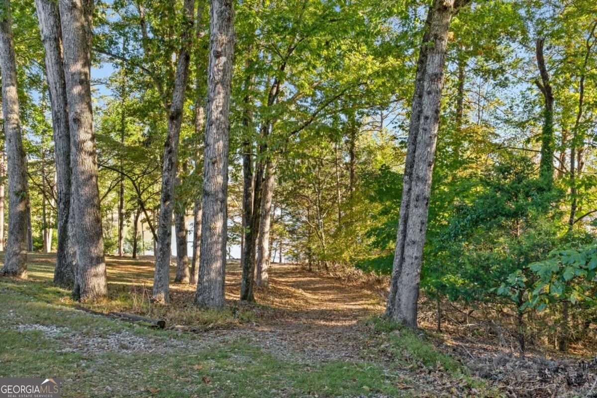 506 Chestatee Circle Dawsonville - Photo 16