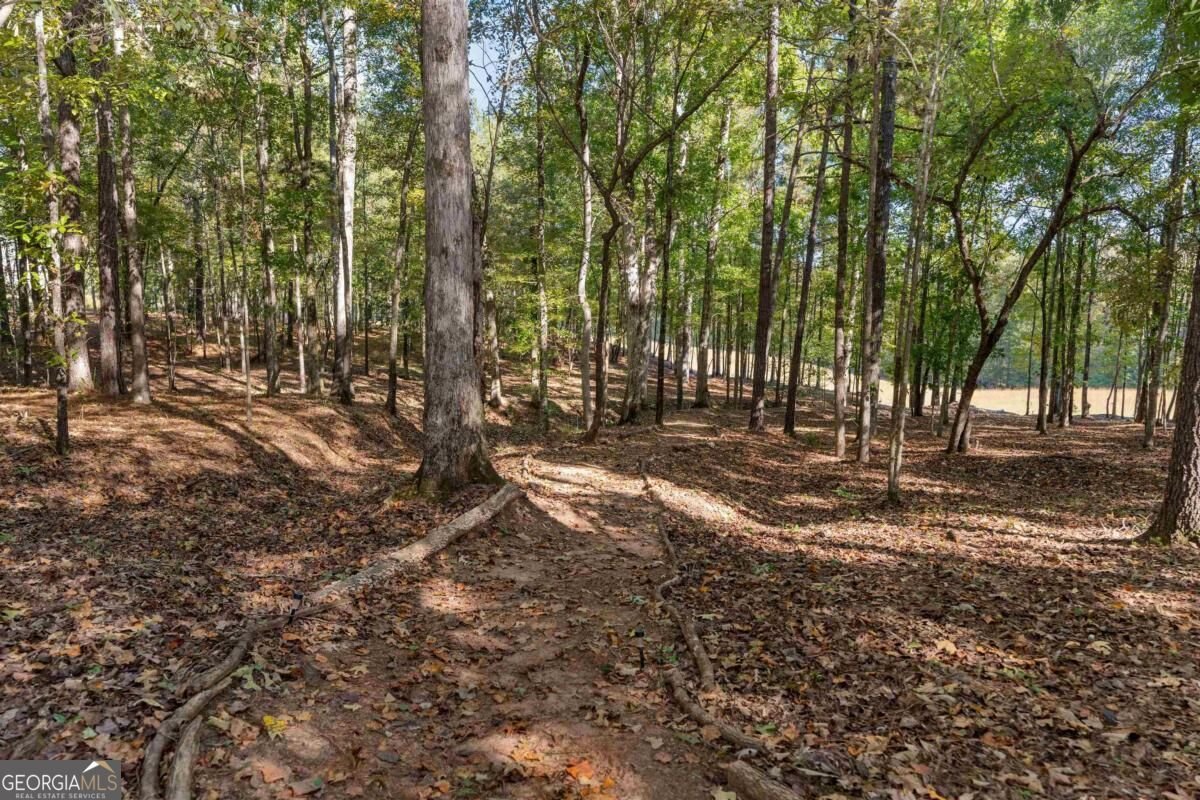 198 Deerfield Lane Eatonton - Photo 58