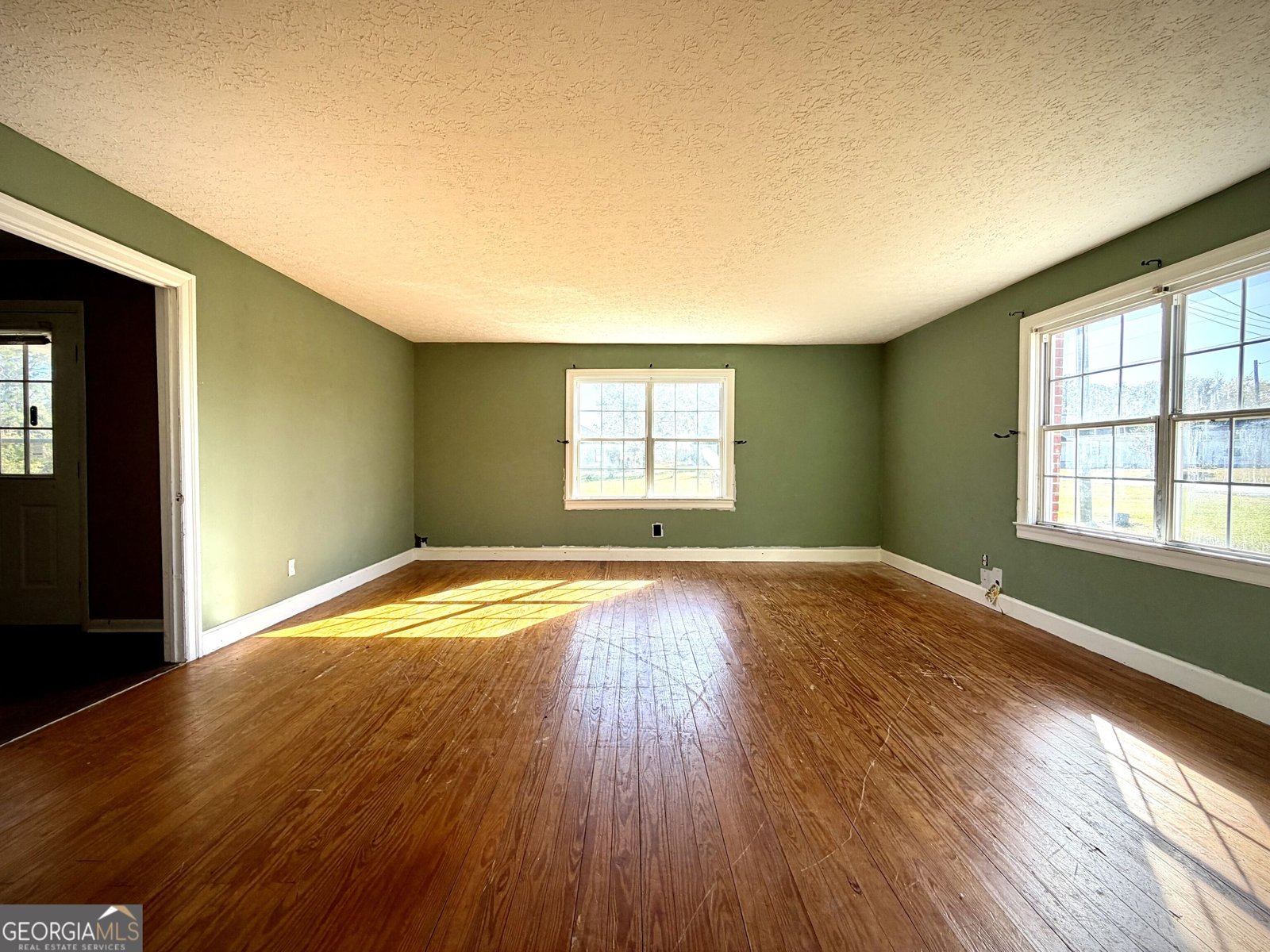 2256 Bay Springs Road Adrian - Photo 10
