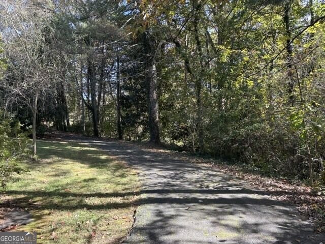 1643 Camp Creek RD Cornelia - Photo 59