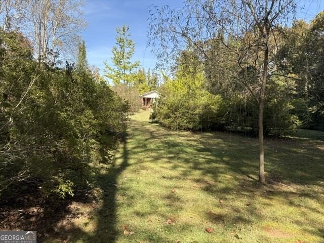 1643 Camp Creek RD Cornelia - Photo 60