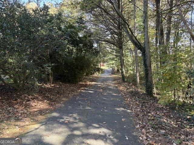 1643 Camp Creek RD Cornelia - Photo 61
