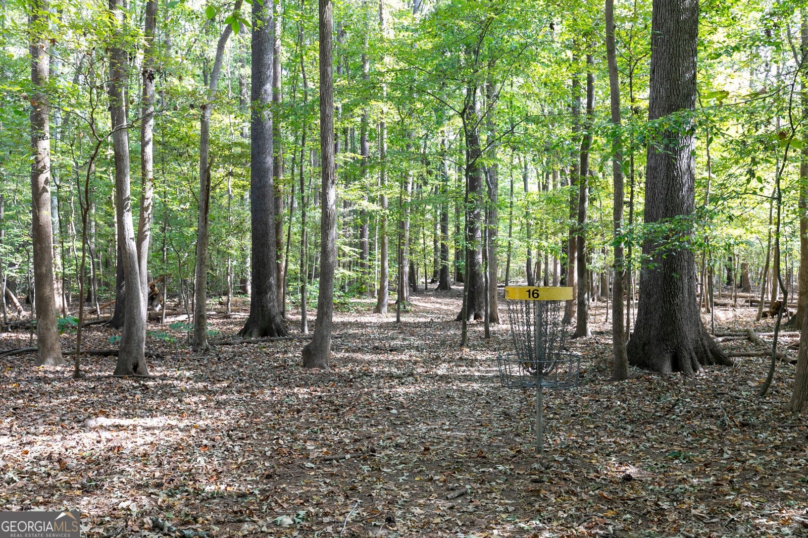 3500 Brandywine Road Kennesaw - Photo 49