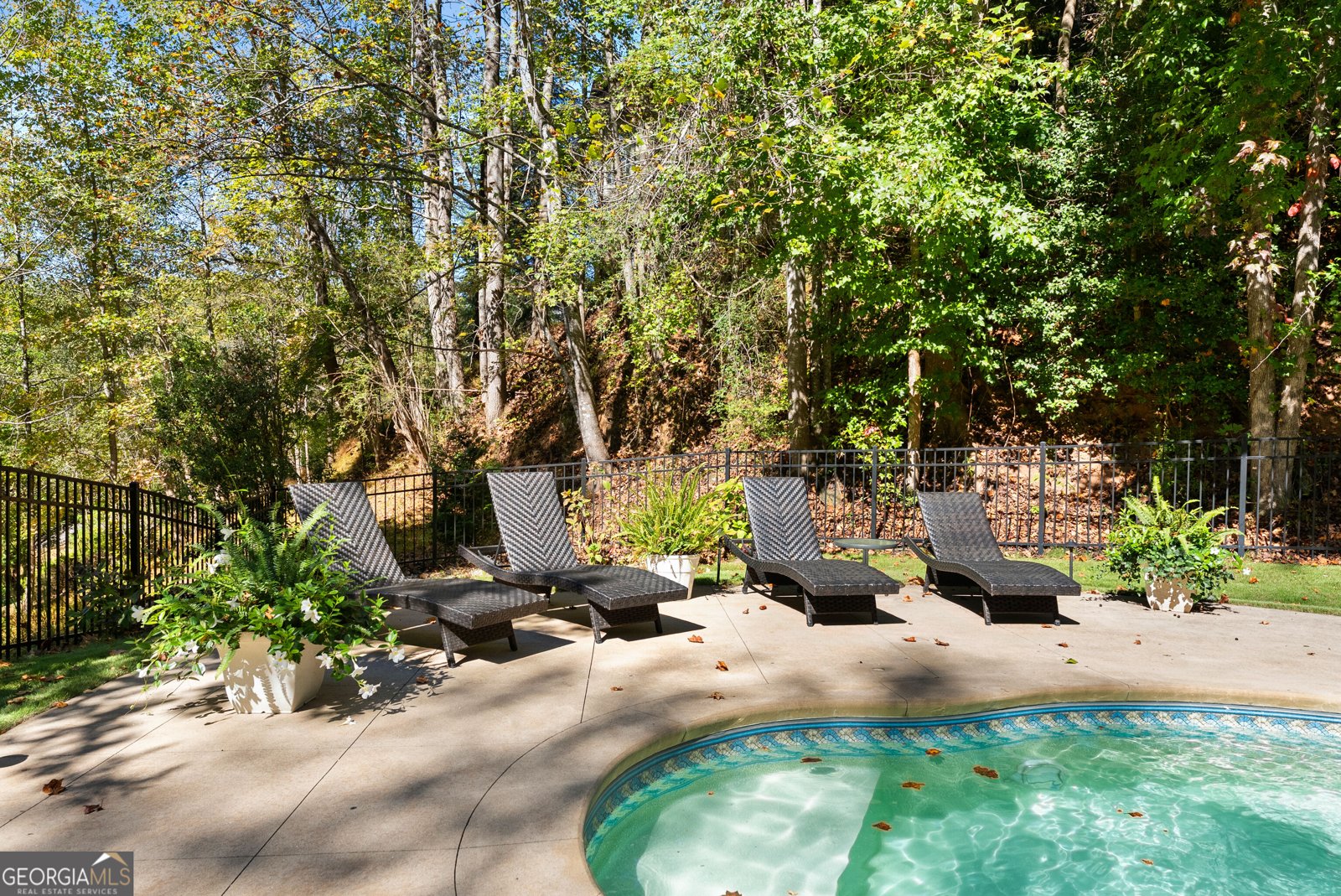 31 Lakotah Lane Dahlonega - Photo 36