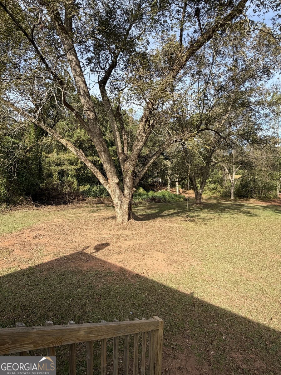 526 Lawrence Road Molena - Photo 39