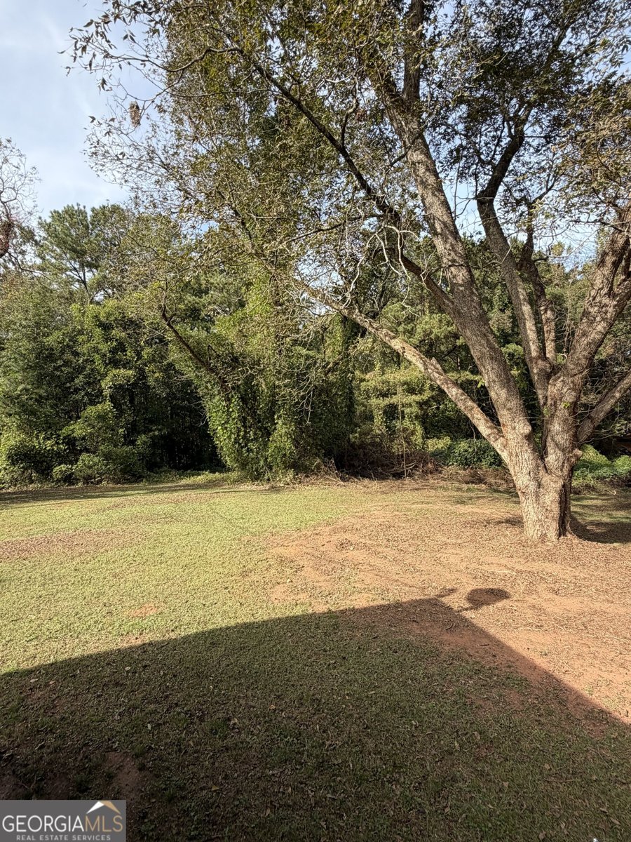 526 Lawrence Road Molena - Photo 40