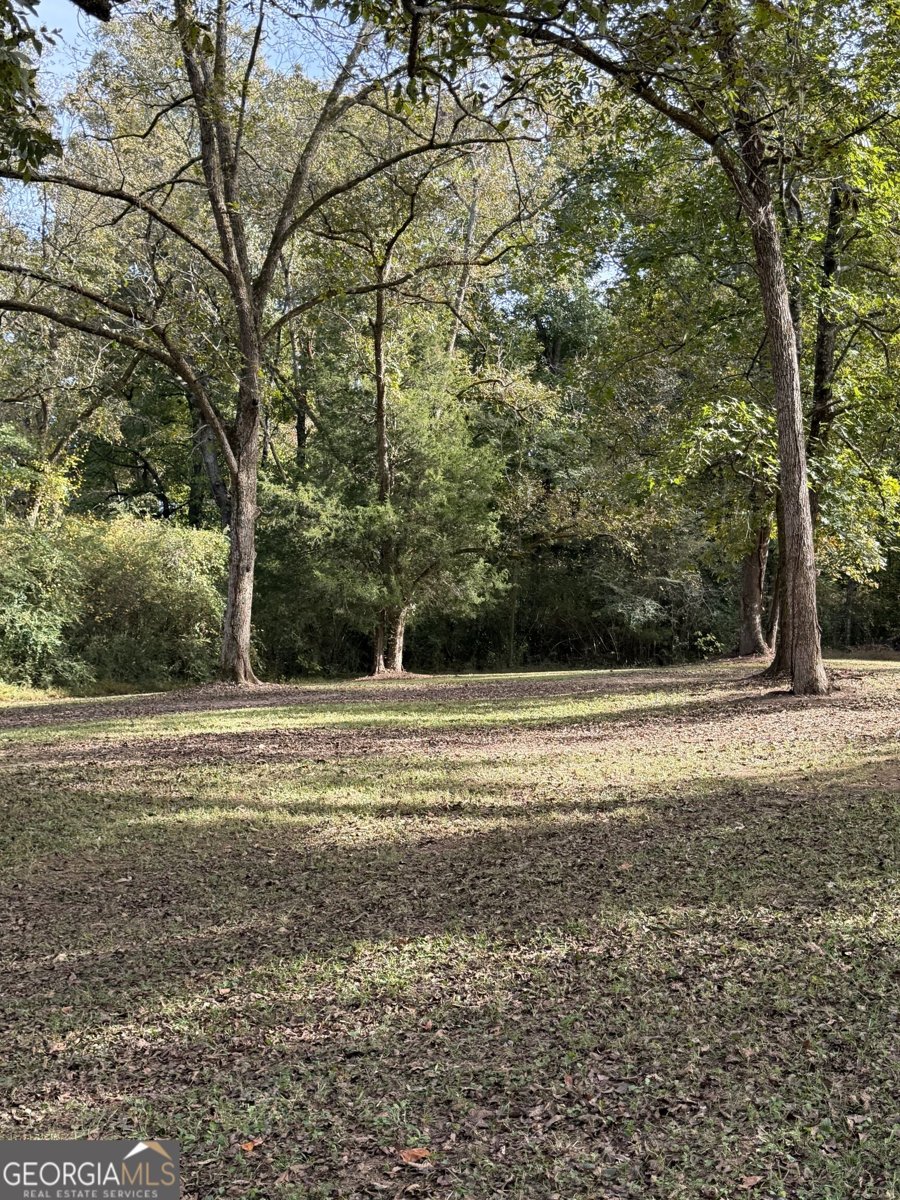 526 Lawrence Road Molena - Photo 47