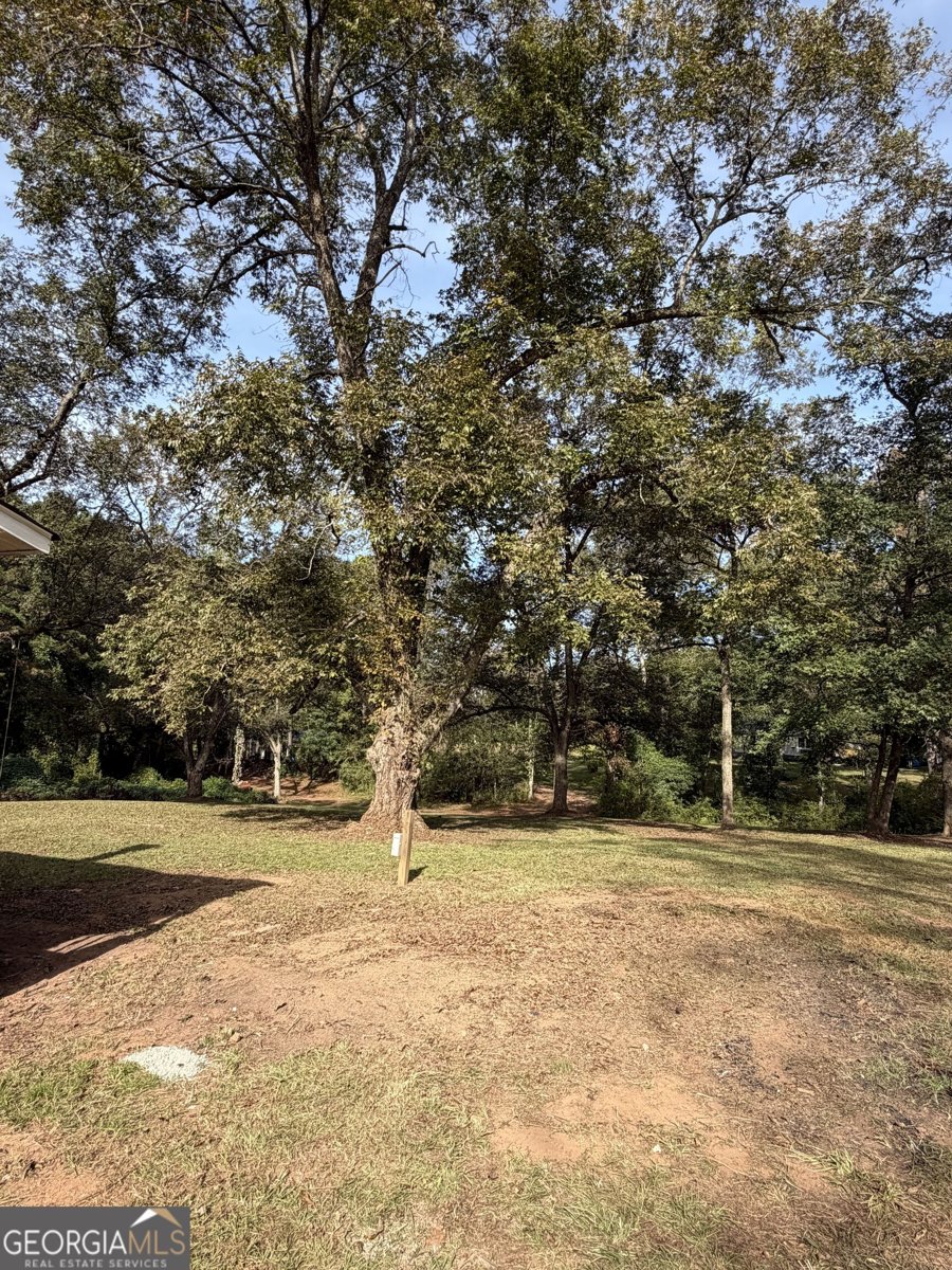 526 Lawrence Road Molena - Photo 48