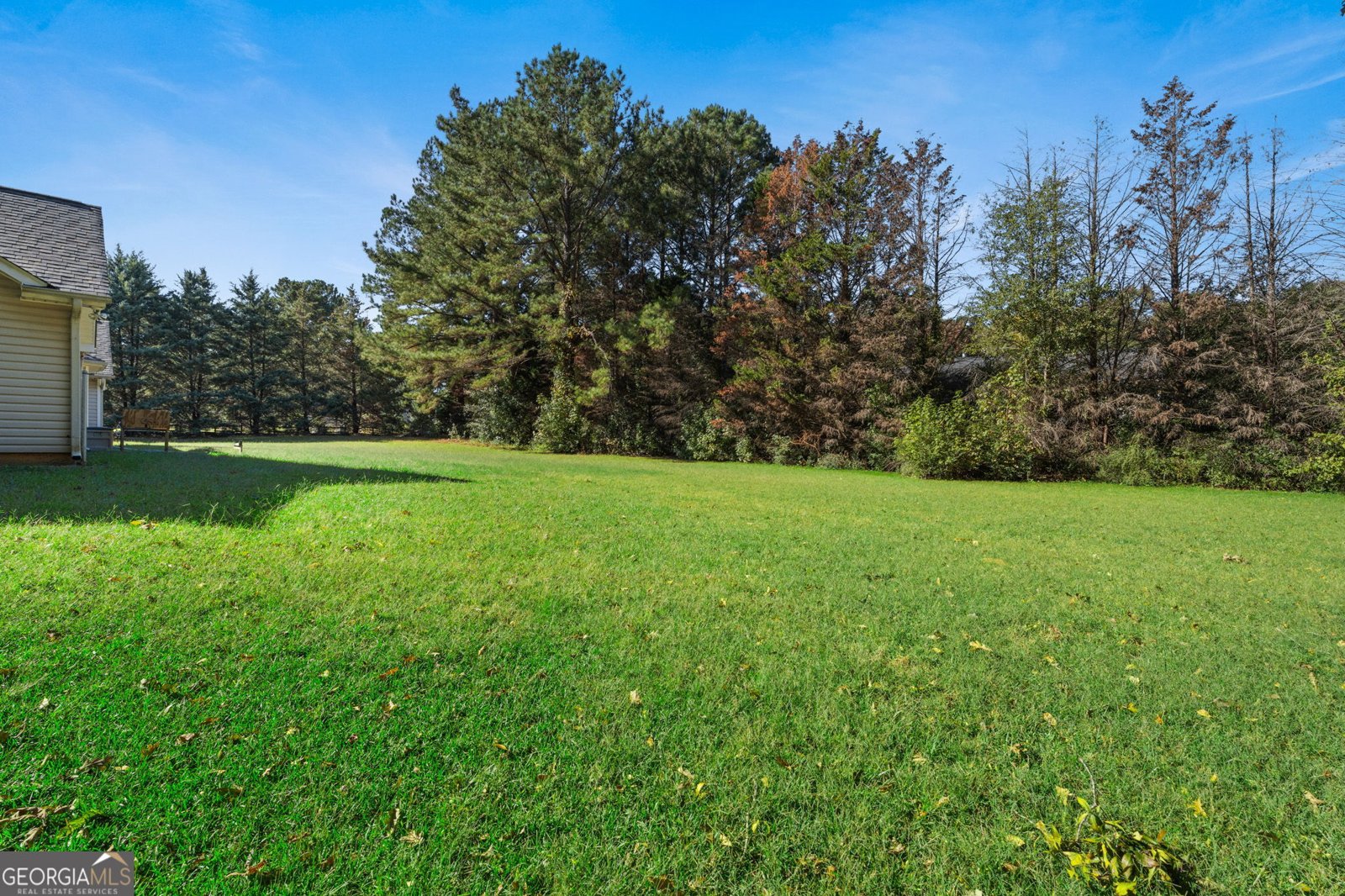167 Morningside Dr Jackson - Photo 35