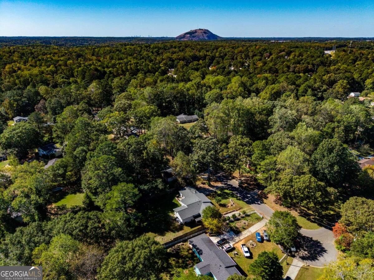 4815 Manor Drive Stone Mountain - Photo 45