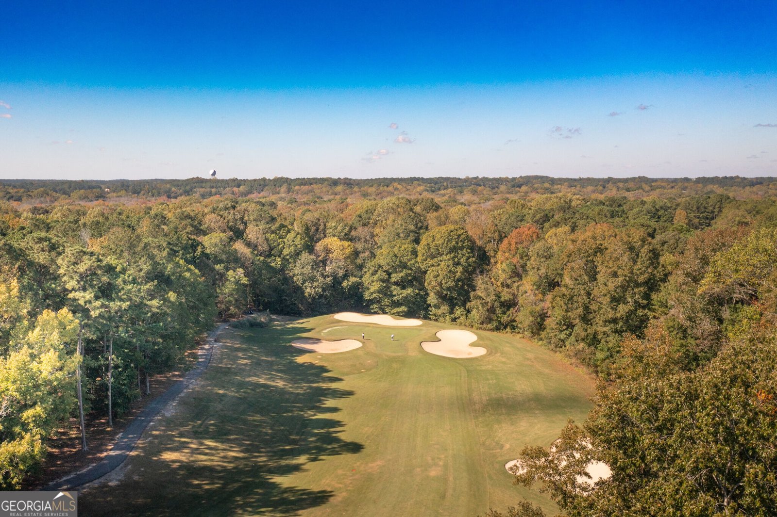119 MASTERS DRIVE N. Peachtree City - Photo 42