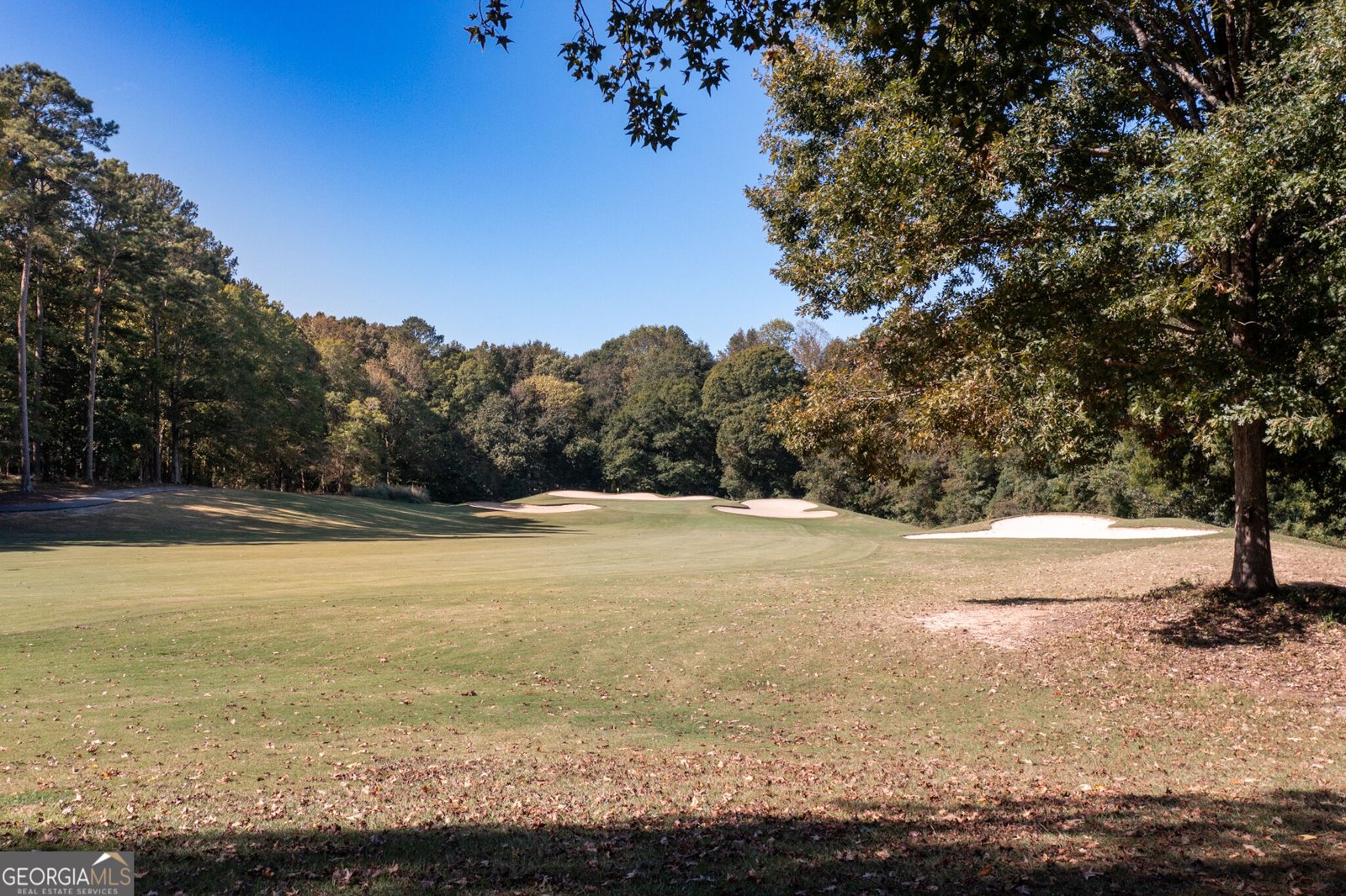 119 MASTERS DRIVE N. Peachtree City - Photo 44