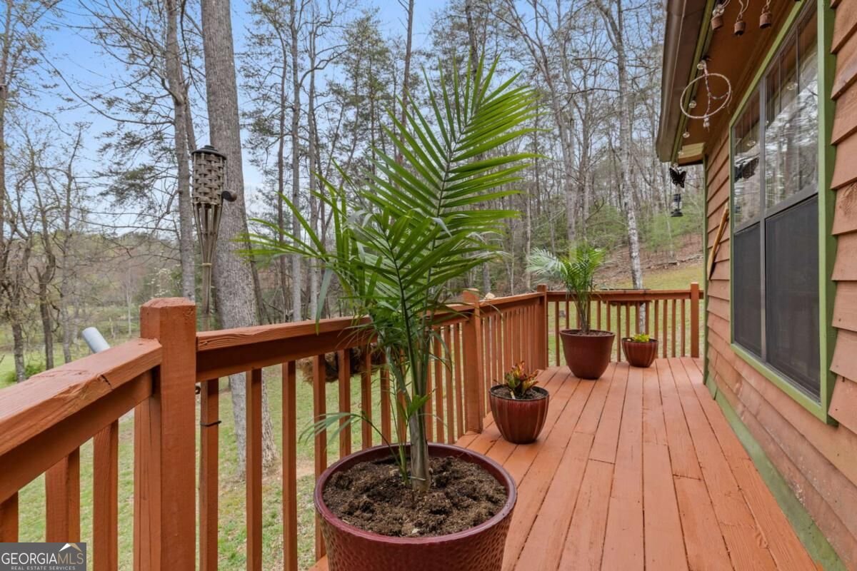 541 Black Ankle Creek Road Cherry Log - Photo 22