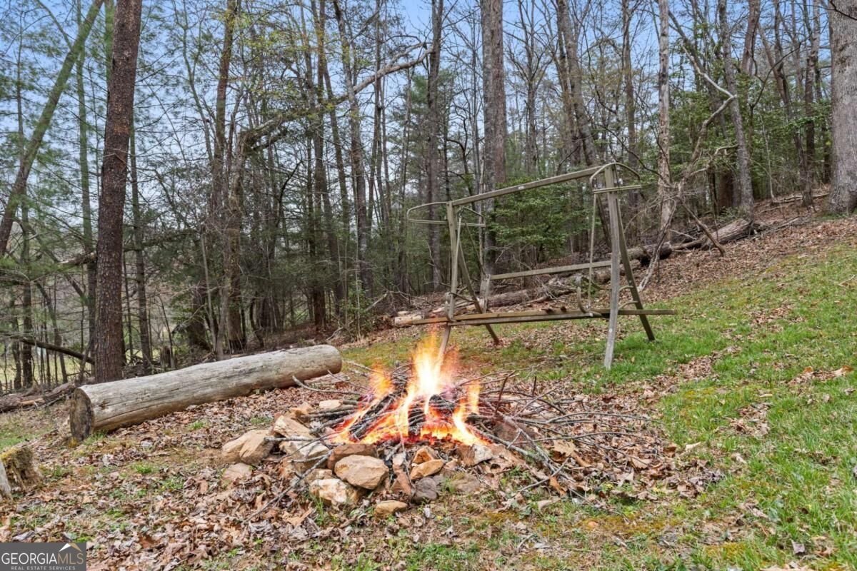 541 Black Ankle Creek Road Cherry Log - Photo 33