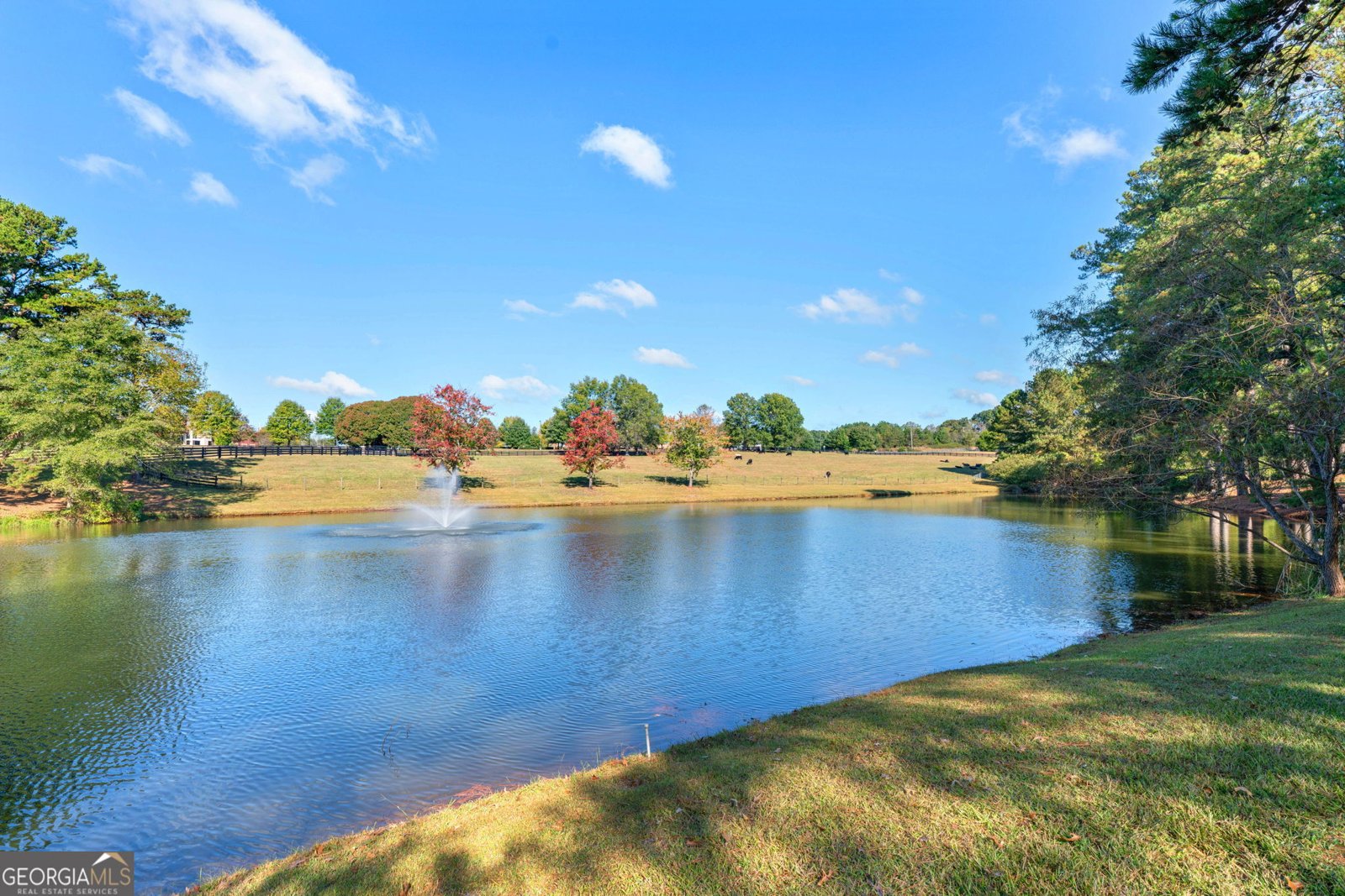 986 Austin Road Winder - Photo 81