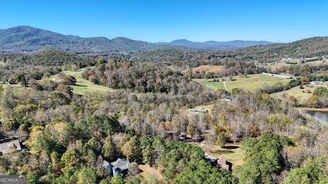 2105 Gordon Drive Young Harris - Photo 6