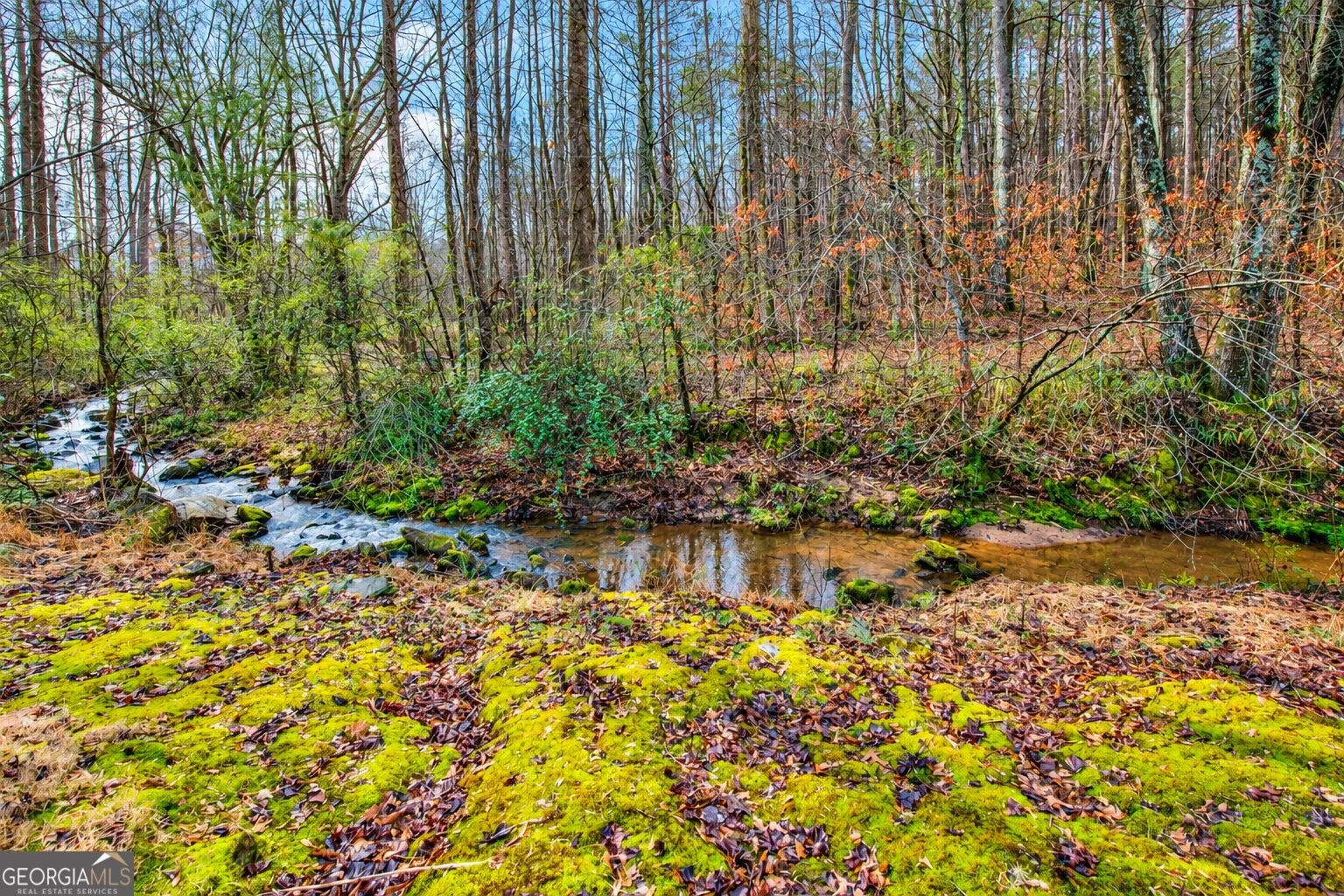 3595 Mortons Landing Drive Ellenwood - Photo 34