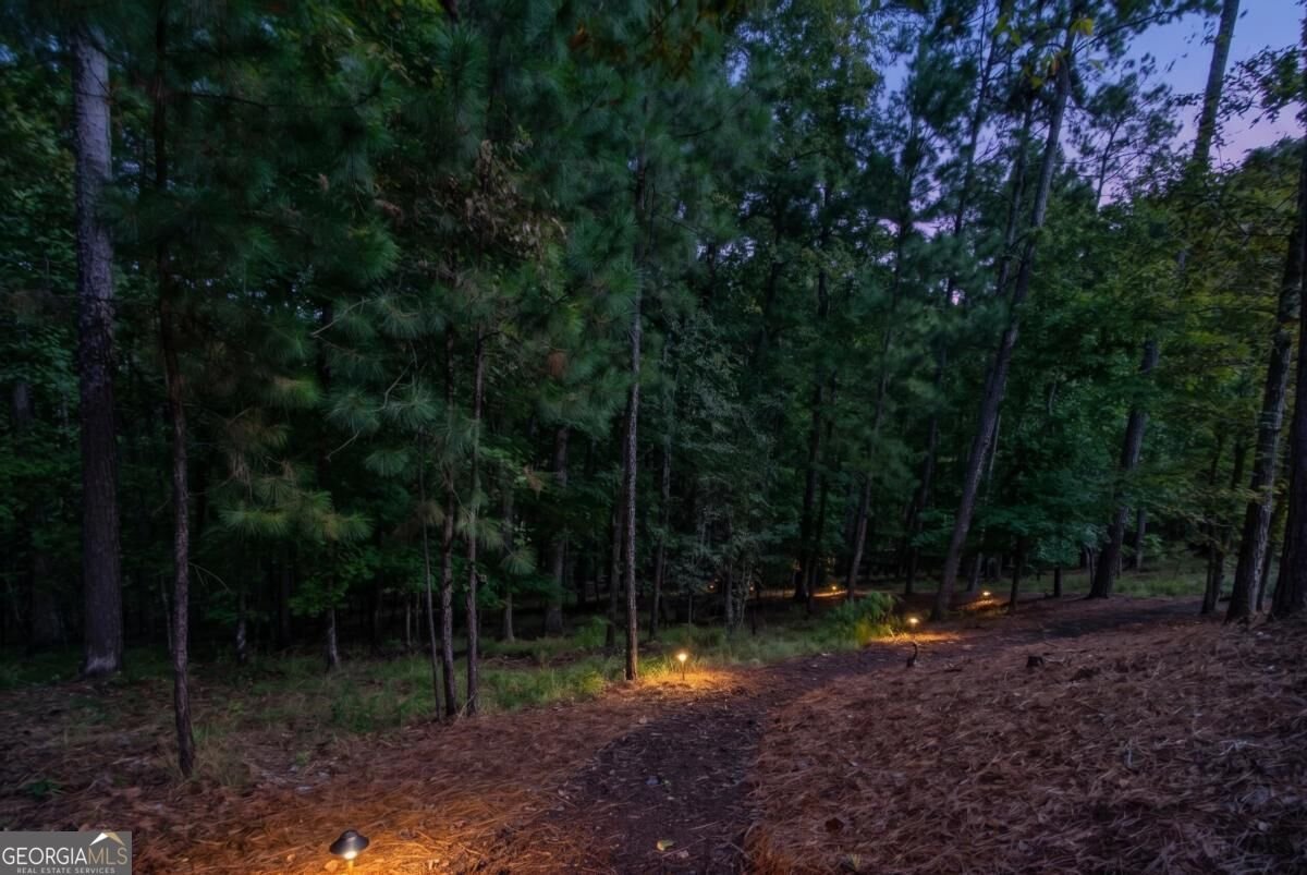 1030 Parrotts Cove Road Greensboro - Photo 65