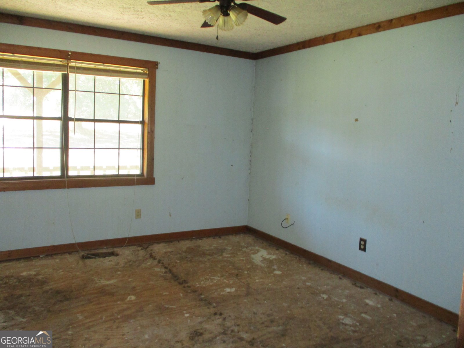 364 Mount Pleasant Church Road Gordon - Photo 6