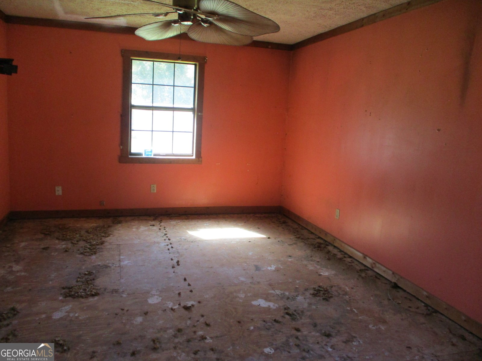 364 Mount Pleasant Church Road Gordon - Photo 8