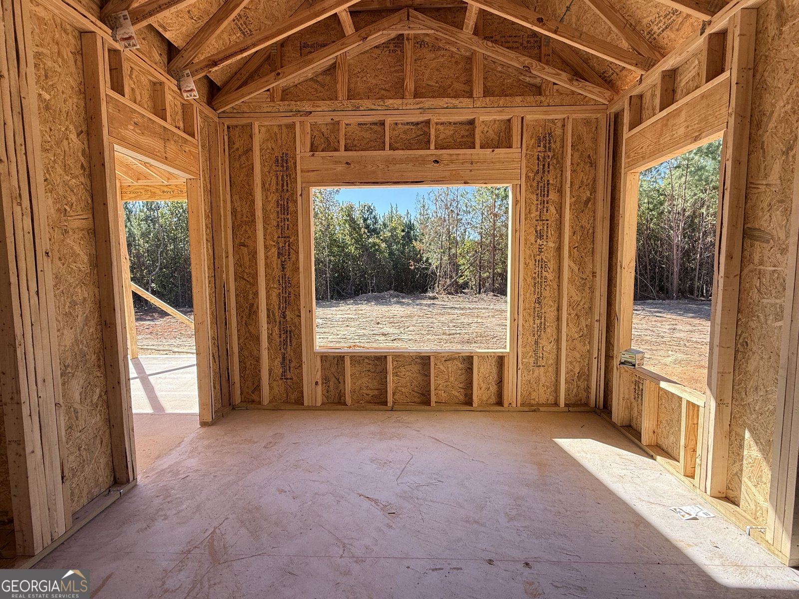 LOT 3 Brinkley Road Barnesville - Photo 9