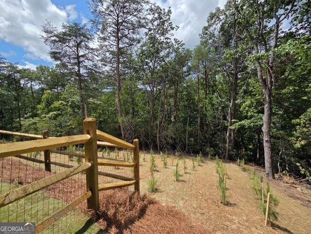 129 Morse Elm Loop Waleska - Photo 15